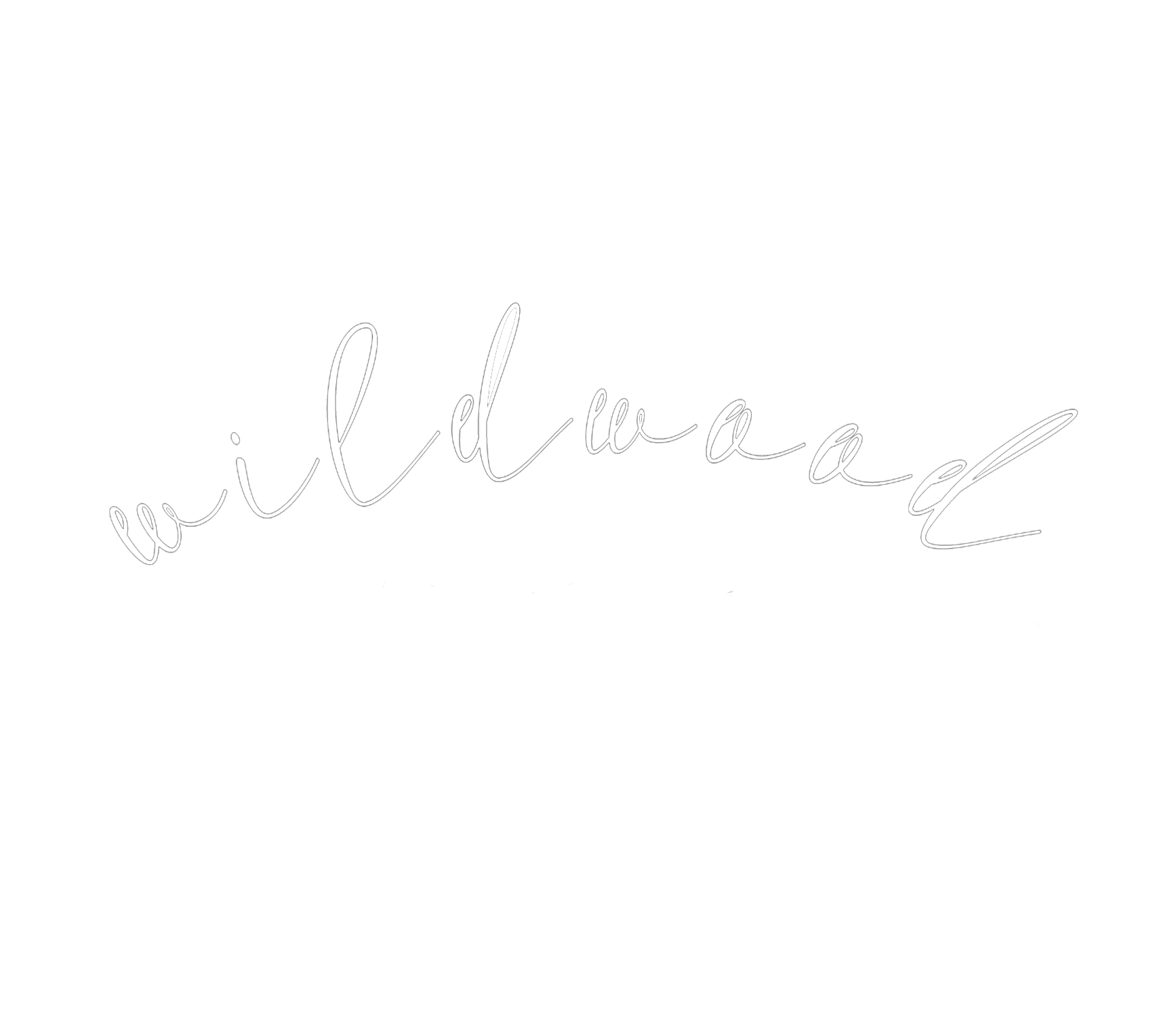 Wildwood Media Company